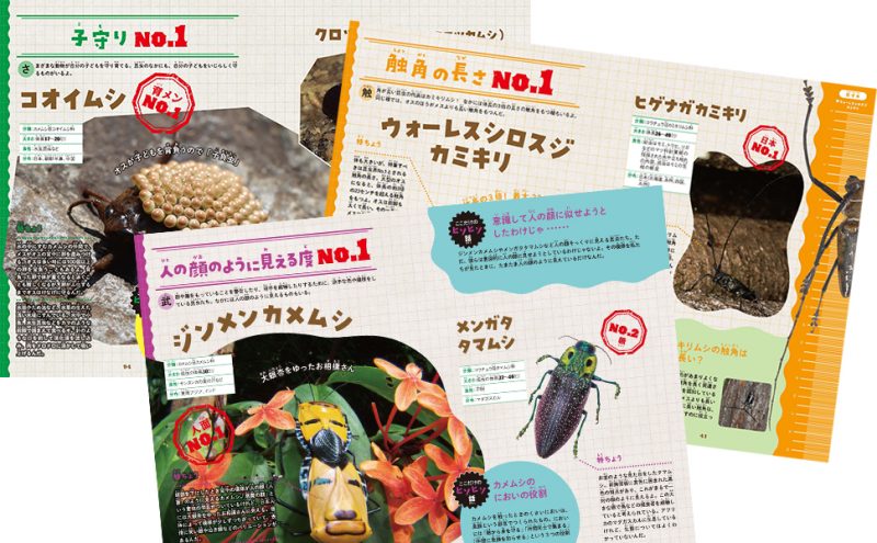昆虫No.1図鑑サンプル2